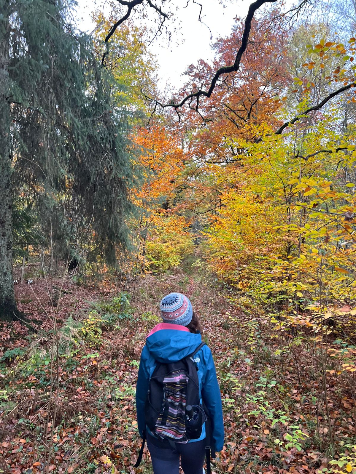 Reem walking through an autumn forest, seen from behind, wearing a blue jacket and patterned beanie.